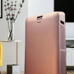 Haier 13,000 BTU
Portable Air Conditioner 
$300