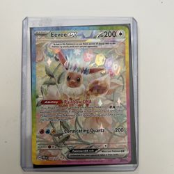 Pokémon Eevee Ex SIR