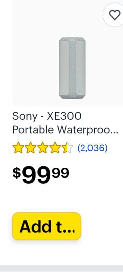 SONY SRS-XE300