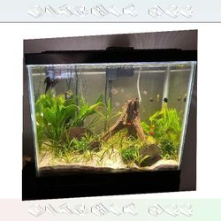 All-Set Aquarium Package - Discover Water World Magic my spend