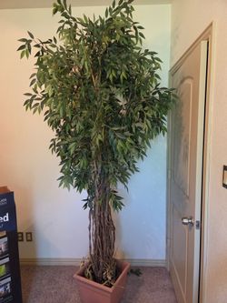 Decorative Tree