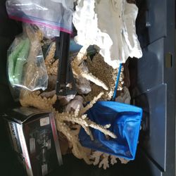 Fish Tank Assessories & Pump