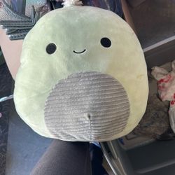 Large Turtle Squishmallow
