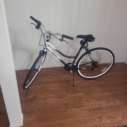 Used Bicycle 