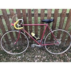  1987 Raleigh Technium 420 Aluminum 12 Speed Bike Bicycle. 21” frame