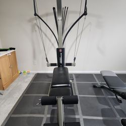 Schwinn Whole Body Workout