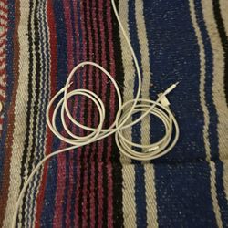 Apple Type C Charger 