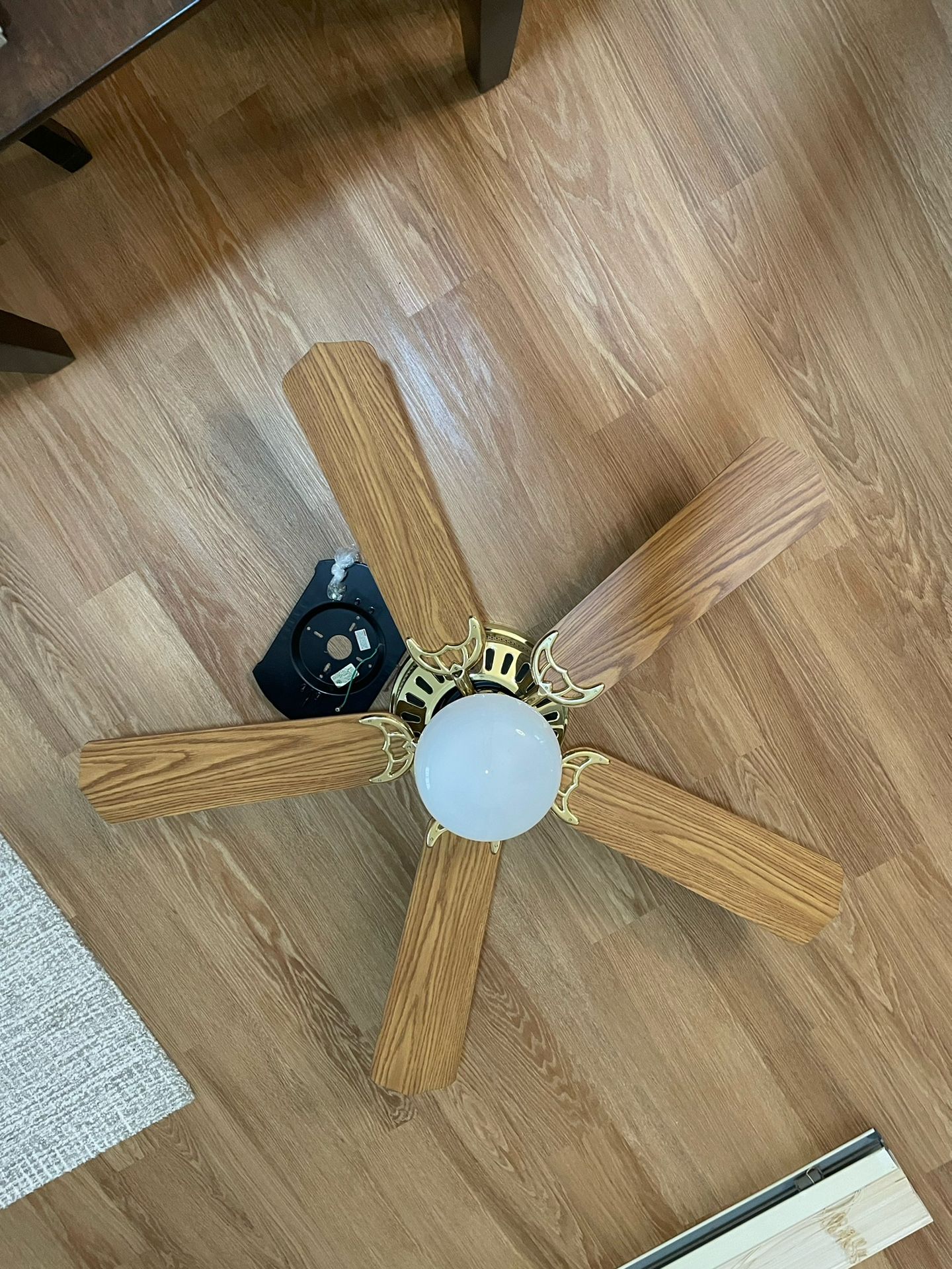 Ceiling Fan with Light