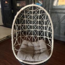 Cat Hammock