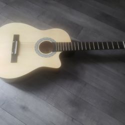 Acoustic Guitar 