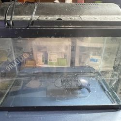 Fish Tank With Lid Air Pump 