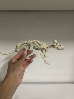Halloween Rat Skeleton Decoration Set Of 2