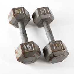 2X 15lb Metal Dumbbell Weights Exercise Equipment Fitness Gym Gear