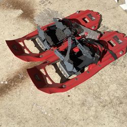 Snow Shoe 
