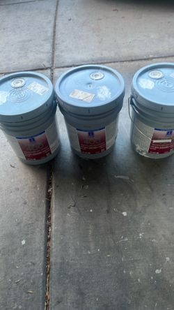 Eggshell Paint 7040 snowbound