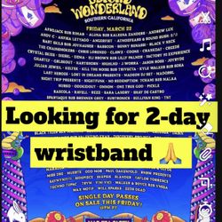 Beyond Wonderland Ticket 