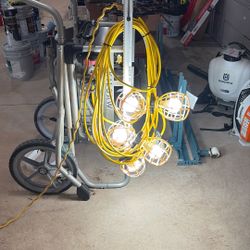 Stringed Lights 