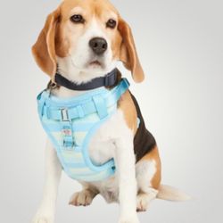BOBS from Sketchers Blue And Green  Color blocked Stripes Dog Harness