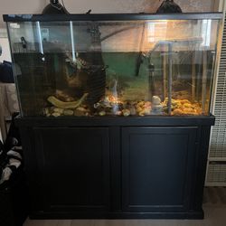 Aquatic Tank (75-90 gallons) + Stand 