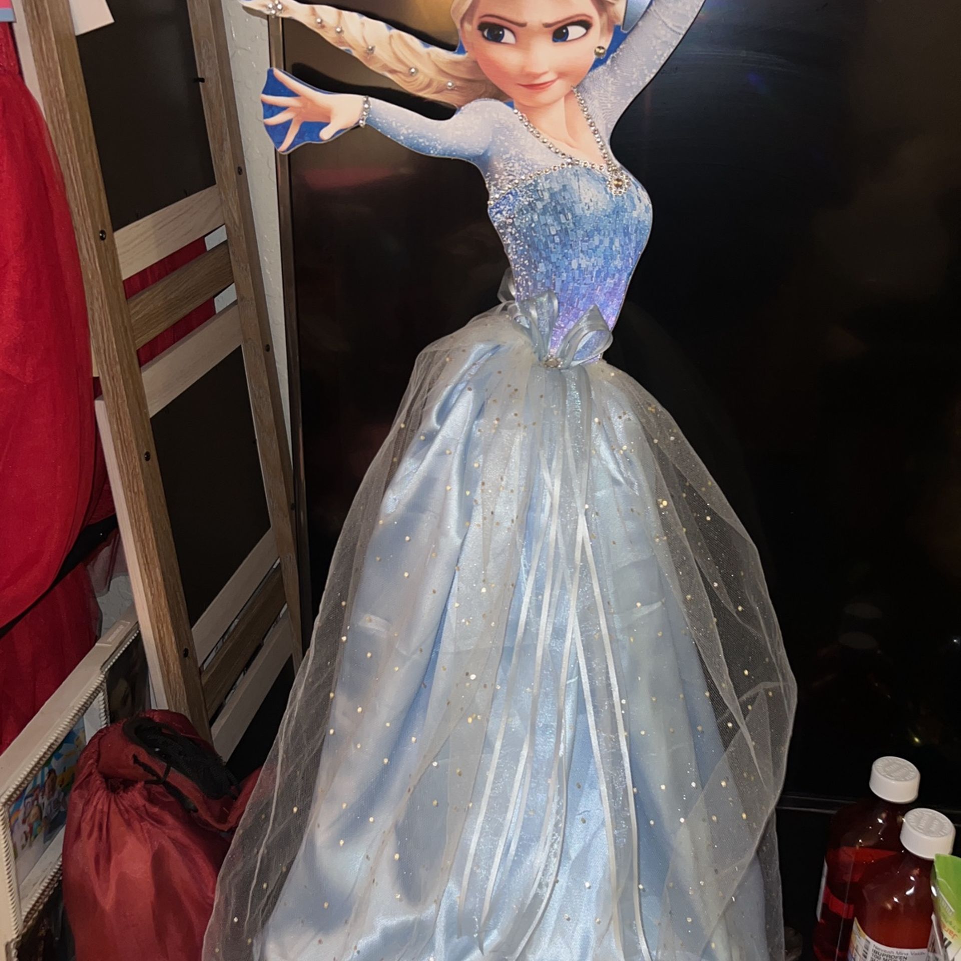 Frozen Photo Prop Decor