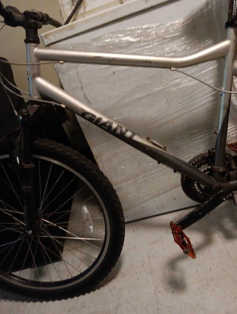 Giant Bike