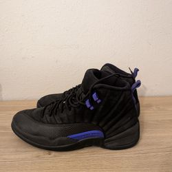 Nike Air Jordan 12 Dark Concord CT8013-005 Size 9