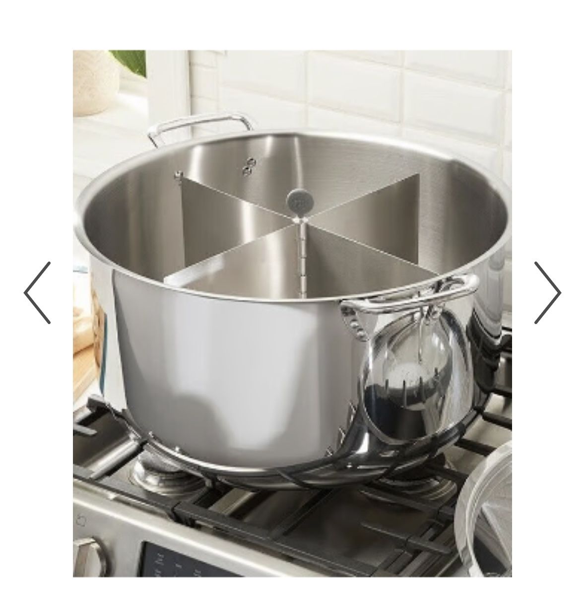 Brand New Princess House Stock Pot 40 Qt