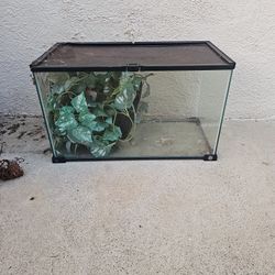 Reptile Tank