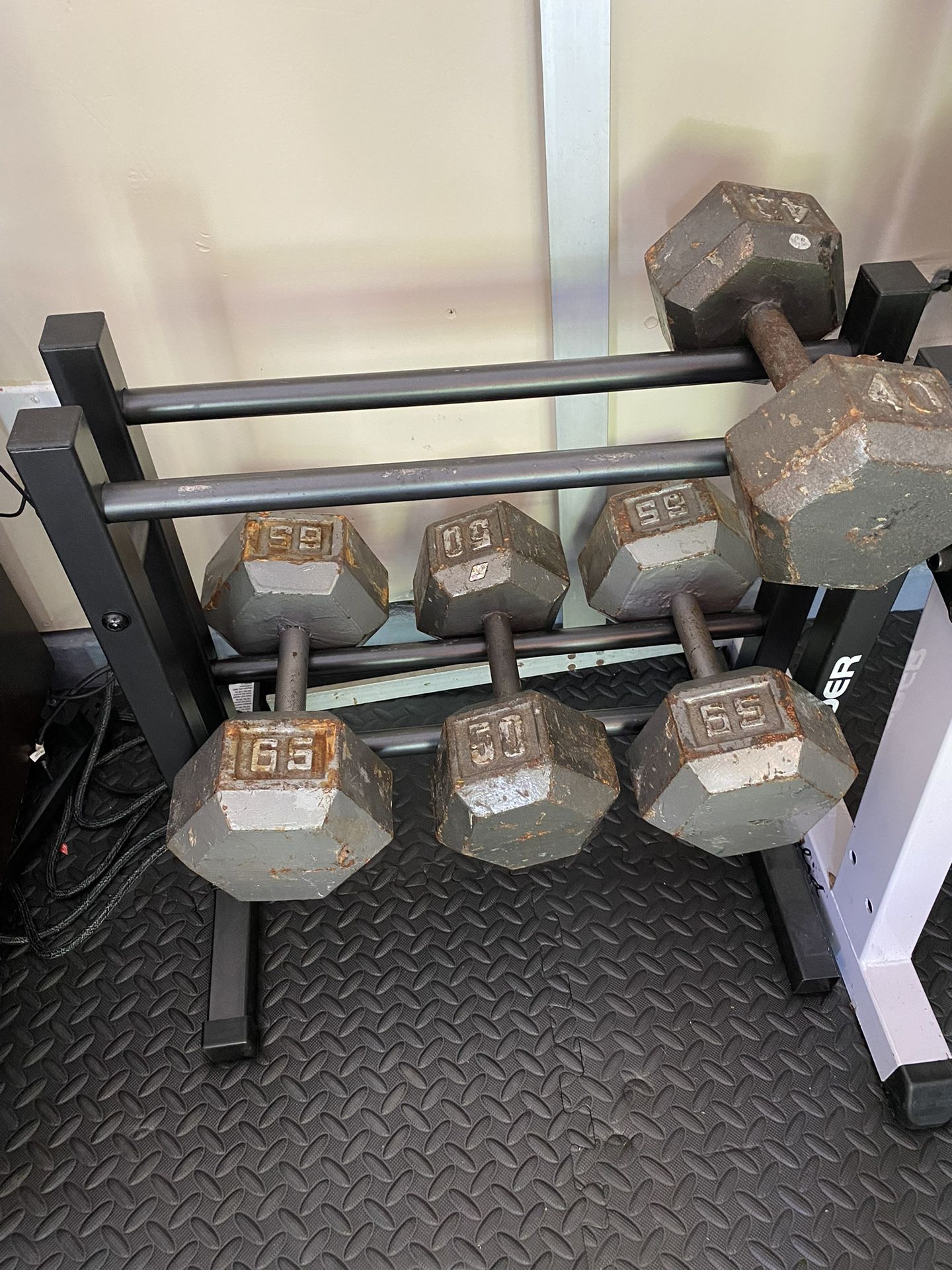 Dumbbells With Rack 