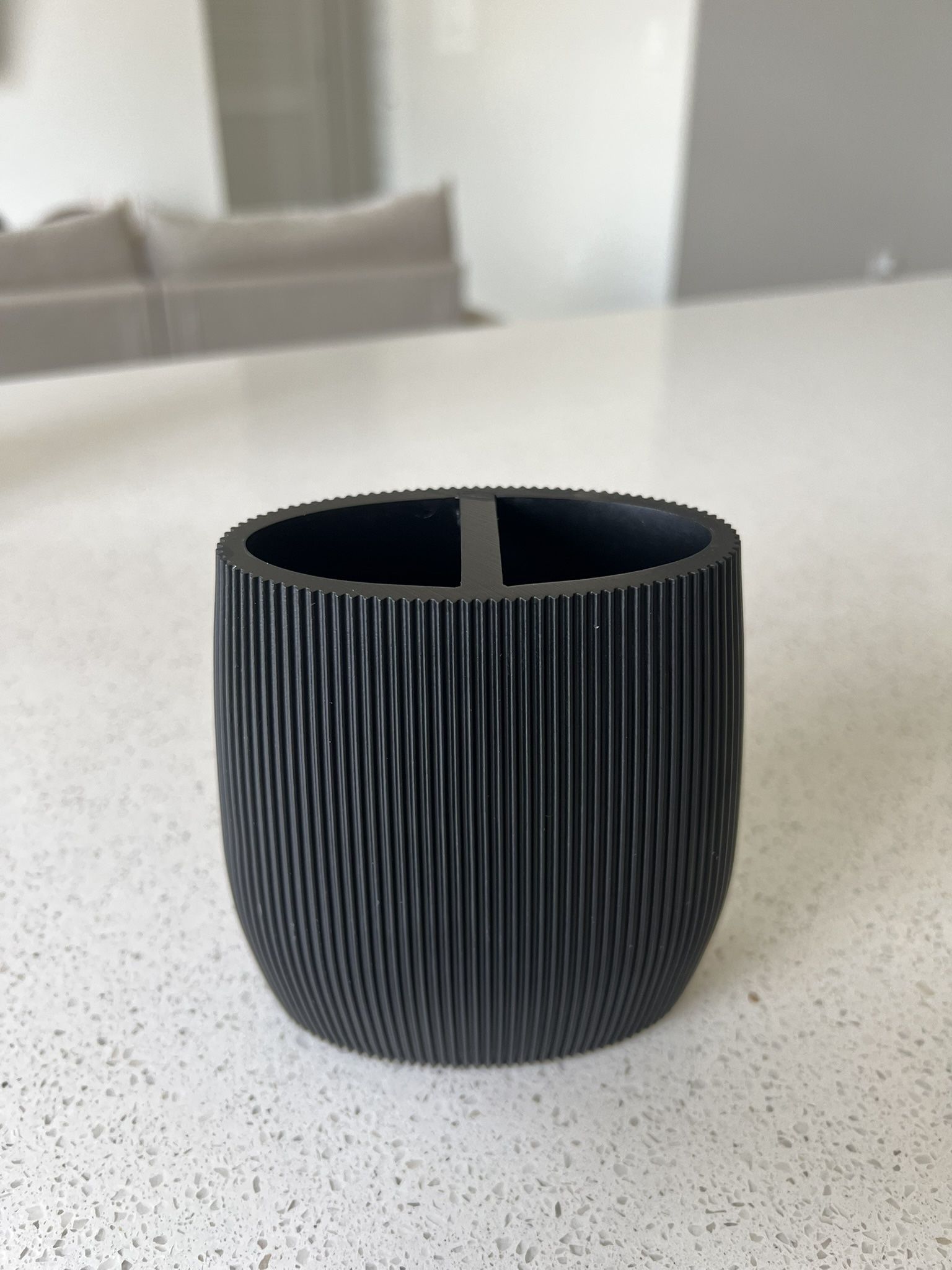 Modern Toothbrush Holder - Sleek Black Design | 2 Compartments