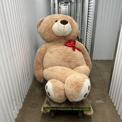 Big Teddy bear
