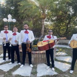Mariachi Violin