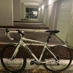 Giant Bike
