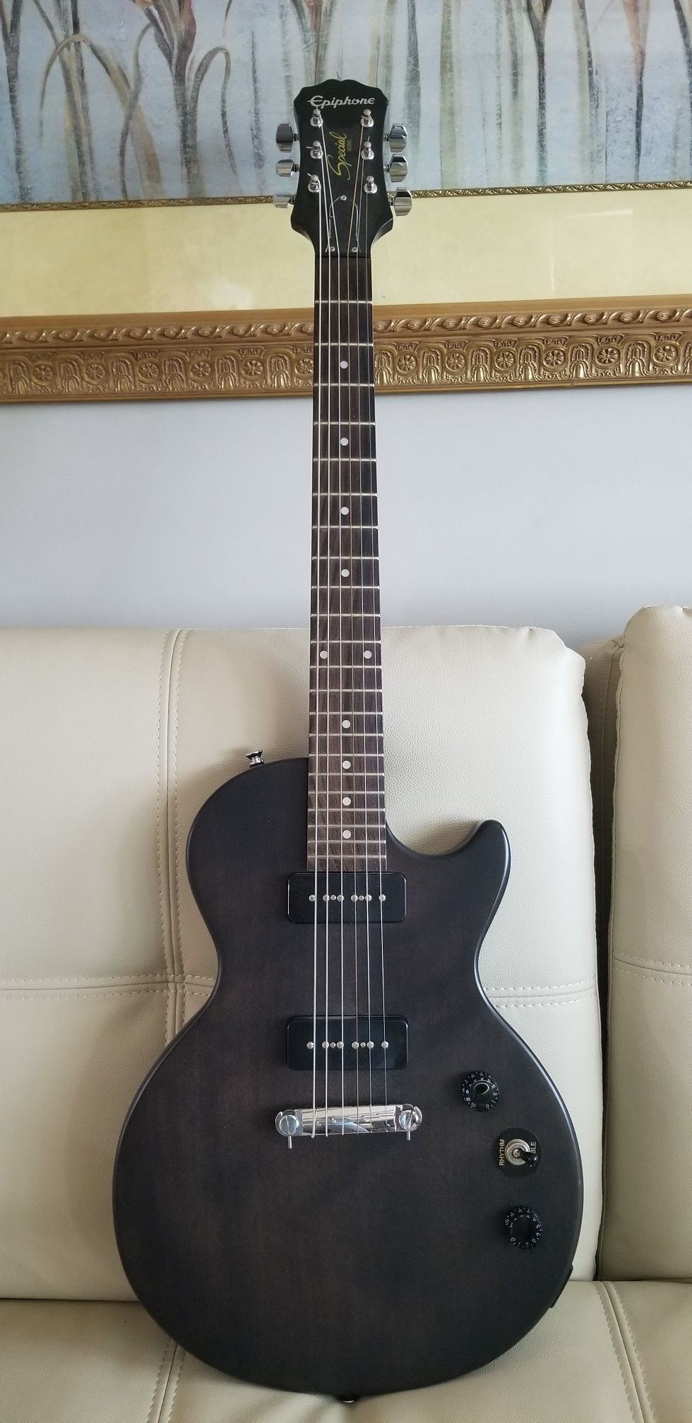 Epiphone Special Edition