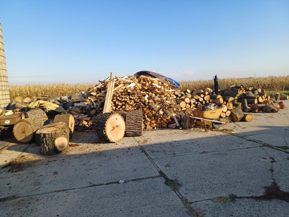 Firewood