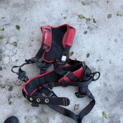 3M Protecta Harness