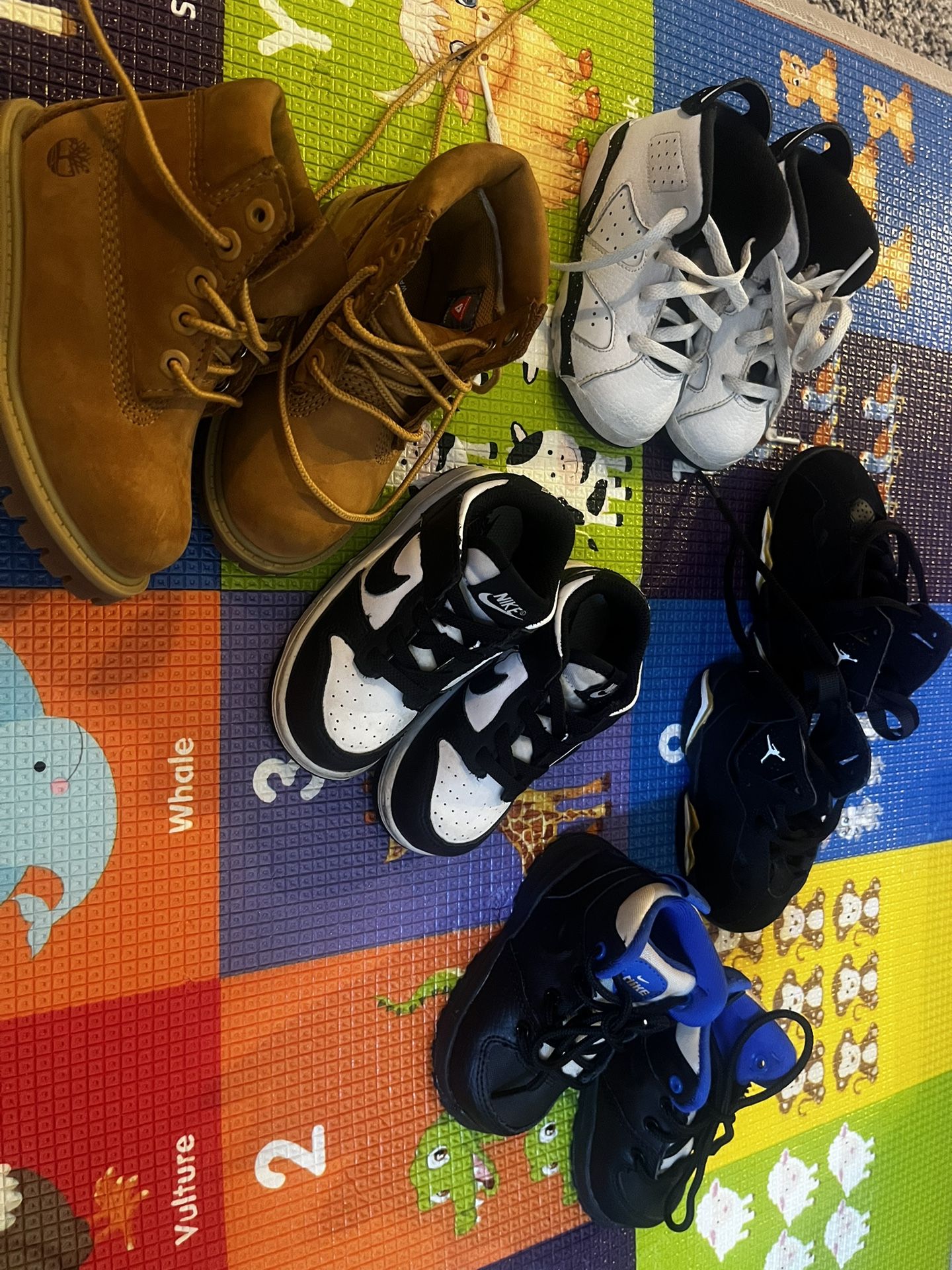 Toddler Shoes