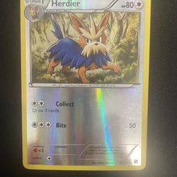 Herdier Pokemon Card- Black and White- Uncommon- 82