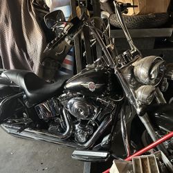 Harley Davidson Softail 