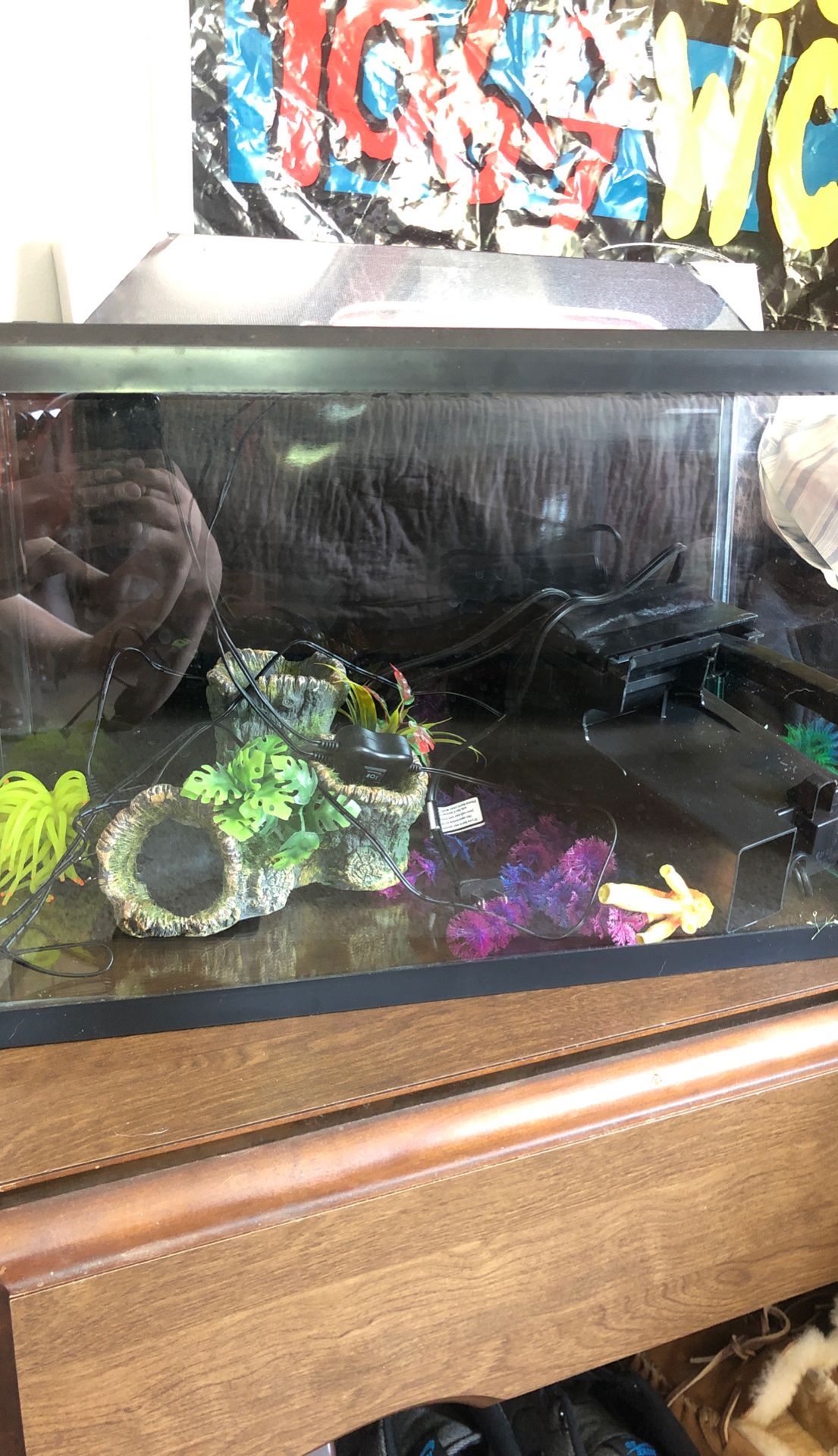 Glo-fish tank set up. NEW