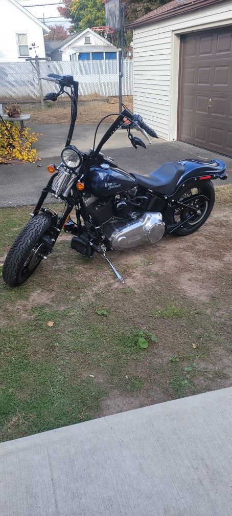 2009 Harley davidson Cross bones