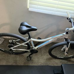 Trek Bicycle