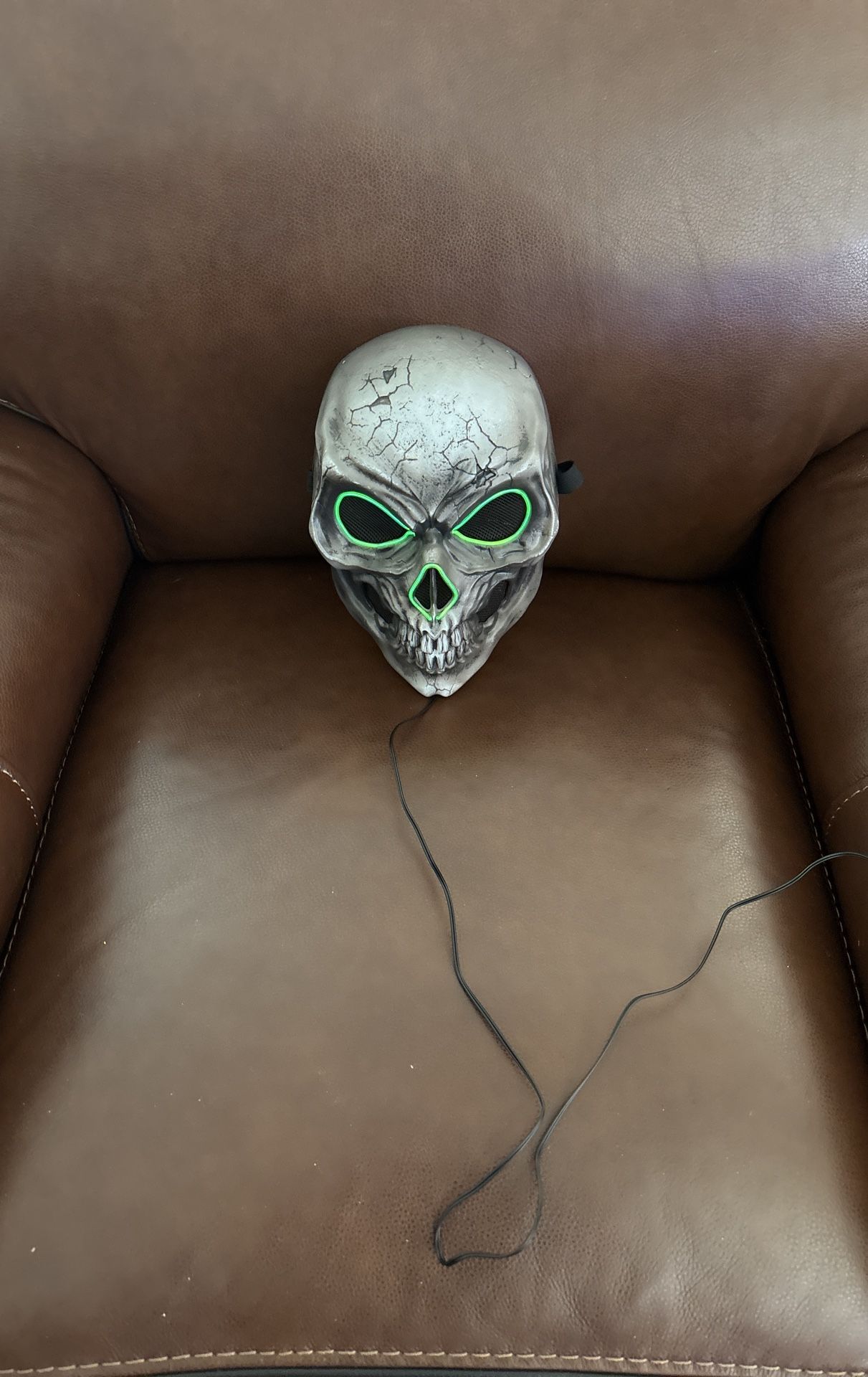 Skeleton, electronic mask