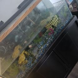 90 Gallon Fish Tank And Accessories