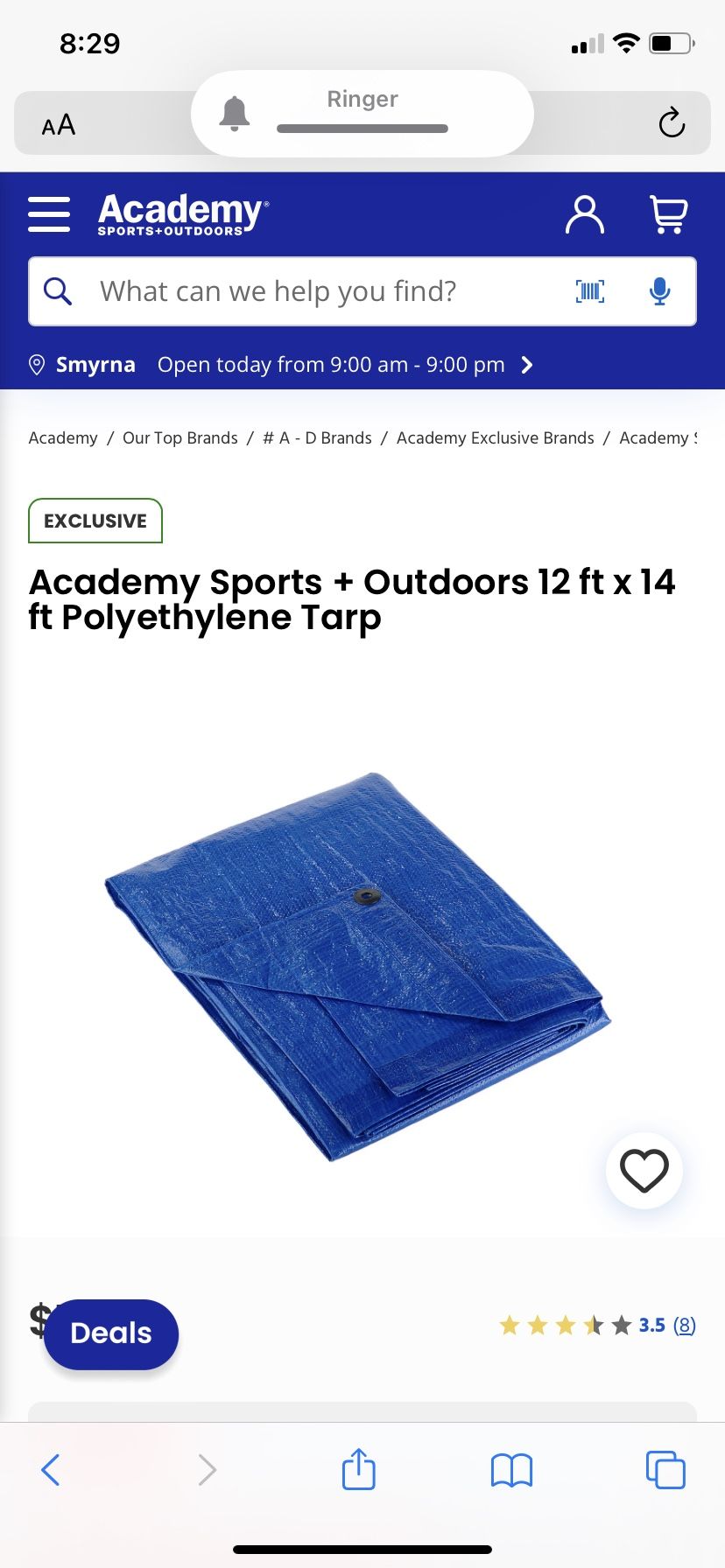 Pool And Tarp