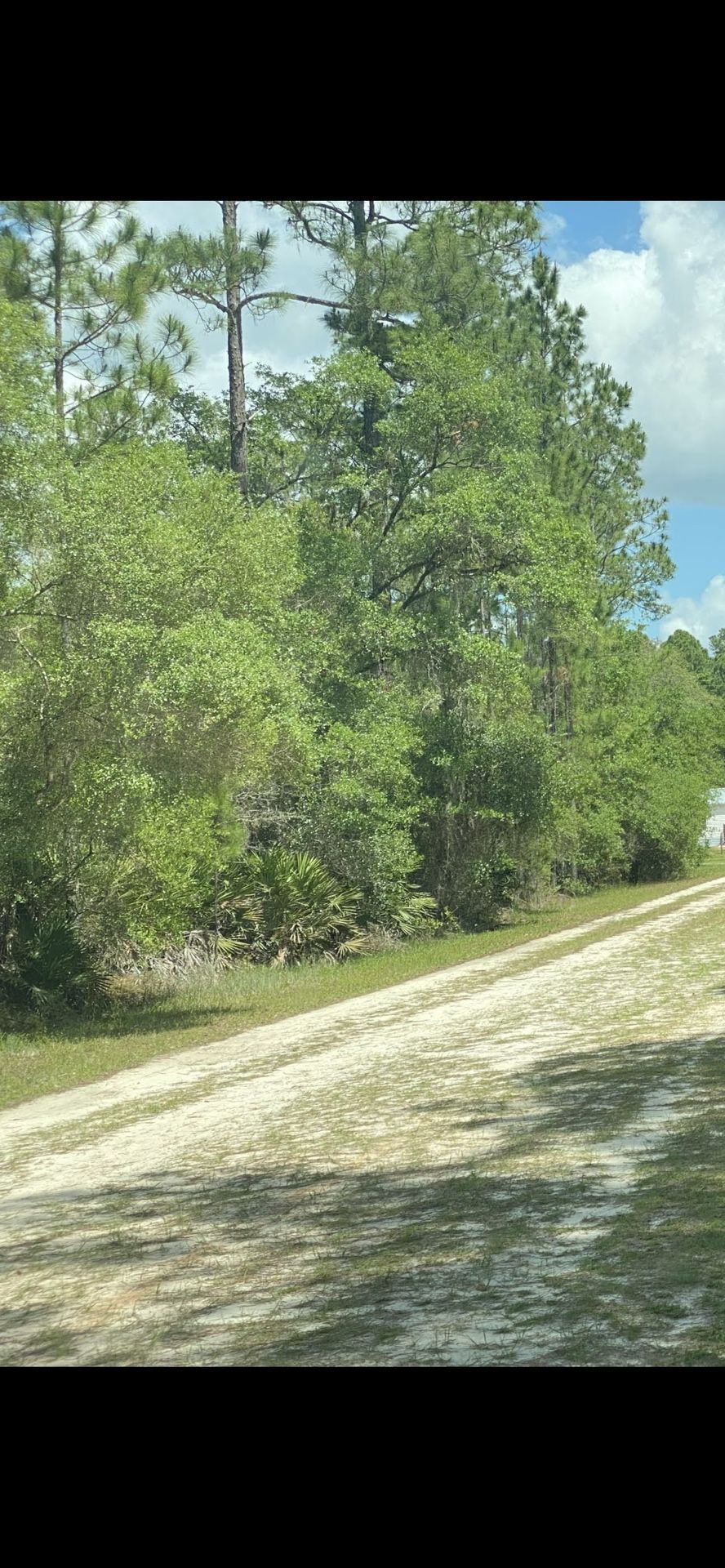Lot For Sale In North Central Florida