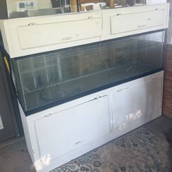 125 Gallon Aquarium . 