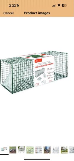HOMESTEAD 32 Inch Live Animal Trap - Specialized for Raccoons, Opossums, Groundhogs, Skunks, Feral Cats, Squirrels - Humane Way Catch & Release Animal