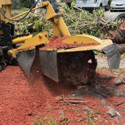 Stumps Grinding Molemos Troncos Y Raises 