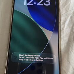 Apple Iphone 16 Pro 256 Gb